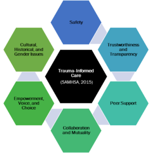 trauma informed conceptualize